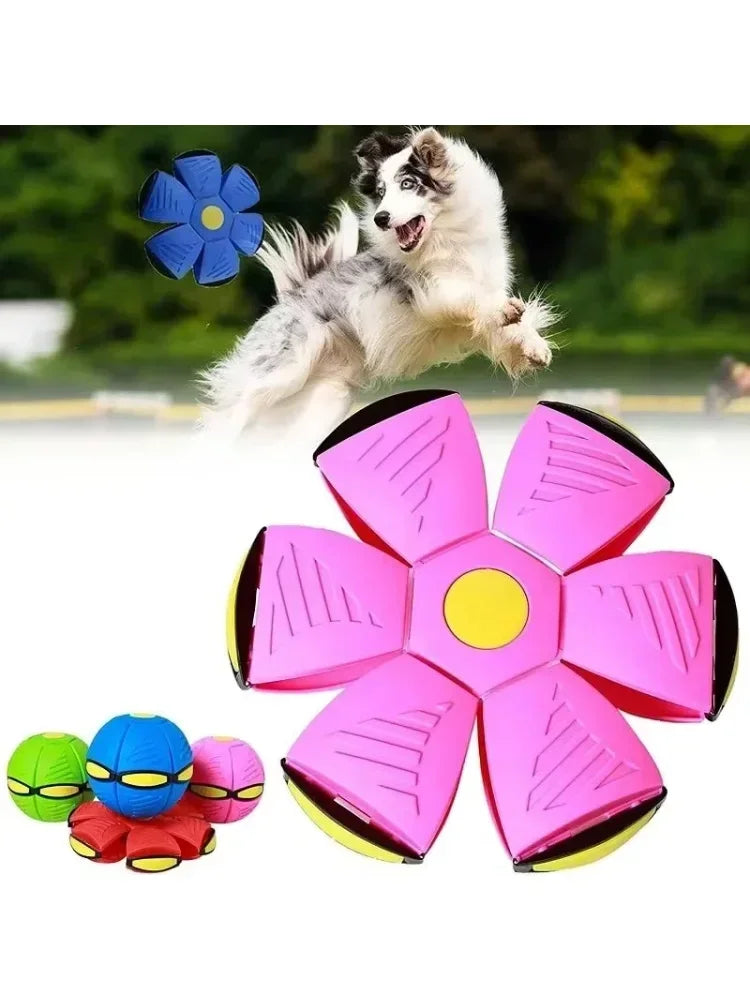 Interactive Dog Flying Disc Toy Puzzle Training Game Outdoor Fetch Play Soft Disc for Small Medium Large Dogs Pet Supplies