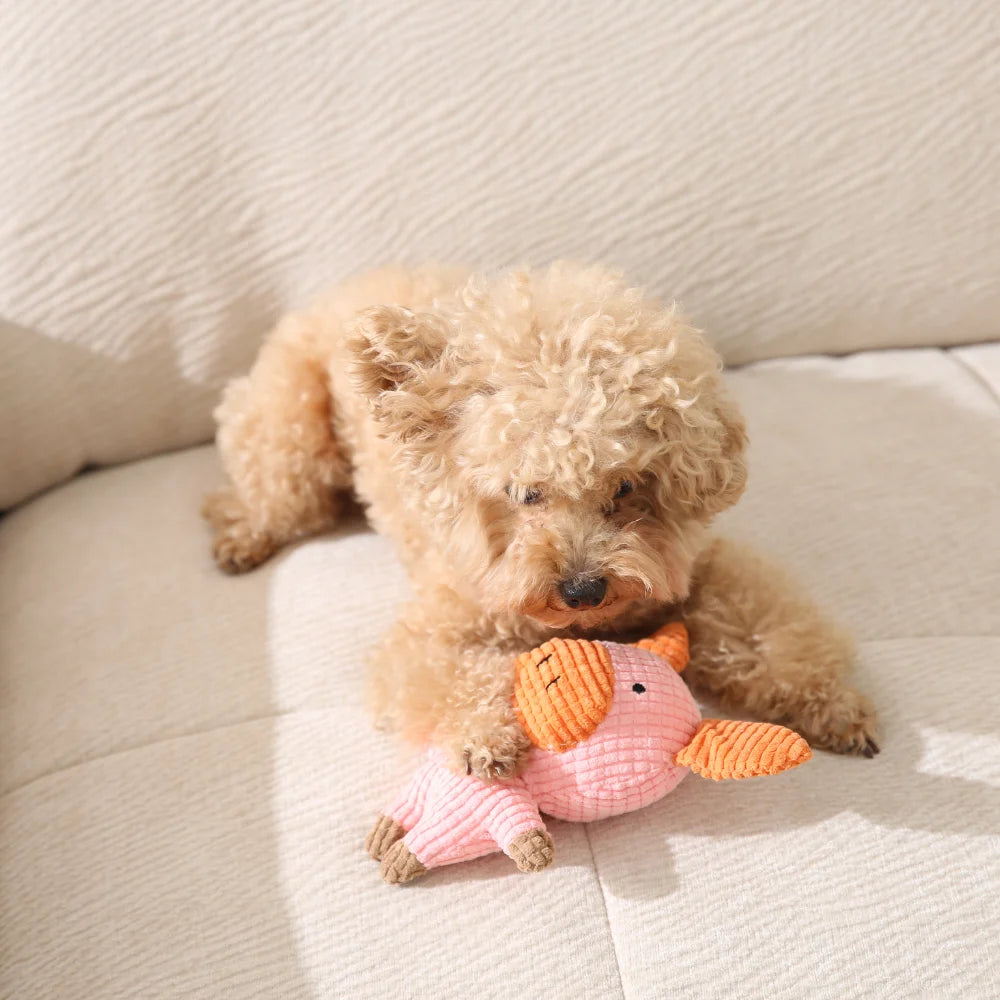 15PCS/Carton Plush Pig Dog Toy Soft Squeaky Chew Toy for Puppies Teething Teeth Cleaning Interactive Pet Toy Wholesale Pet Supplies