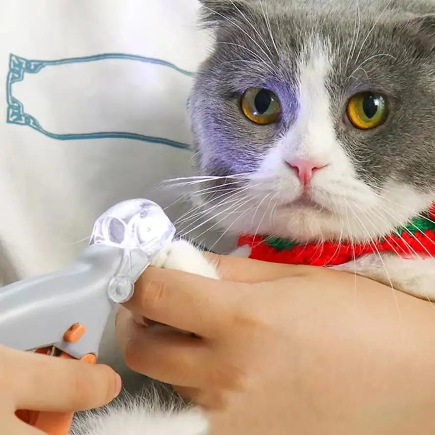 1 LED Pet Nail Clipper with Light, Cat and Dog Cleaning Scissors Provide Simple and Safe Beauty Care for Dogs and Cat Claws