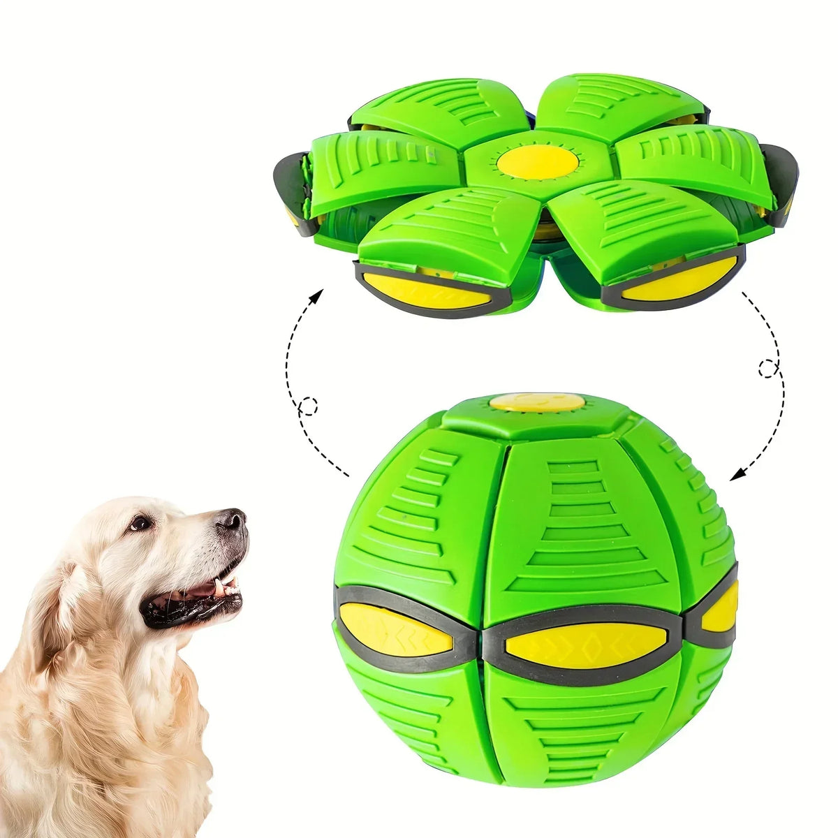 Interactive Dog Flying Disc Toy Puzzle Training Game Outdoor Fetch Play Soft Disc for Small Medium Large Dogs Pet Supplies