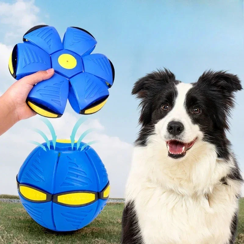 Interactive Dog Flying Disc Toy Puzzle Training Game Outdoor Fetch Play Soft Disc for Small Medium Large Dogs Pet Supplies