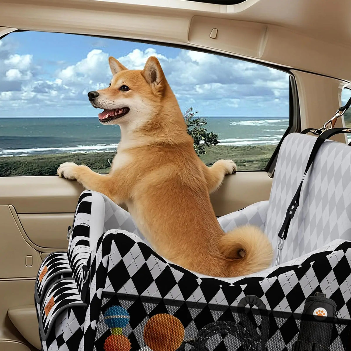 Dog Car Seat for Small/Medium Dogs up to 35lbs, 4-Pocket Storage Memory Foam Dog Booster Seat, Detachable Washable Pet Car Seat with Safety Belt, Outdoor & Indoor Use