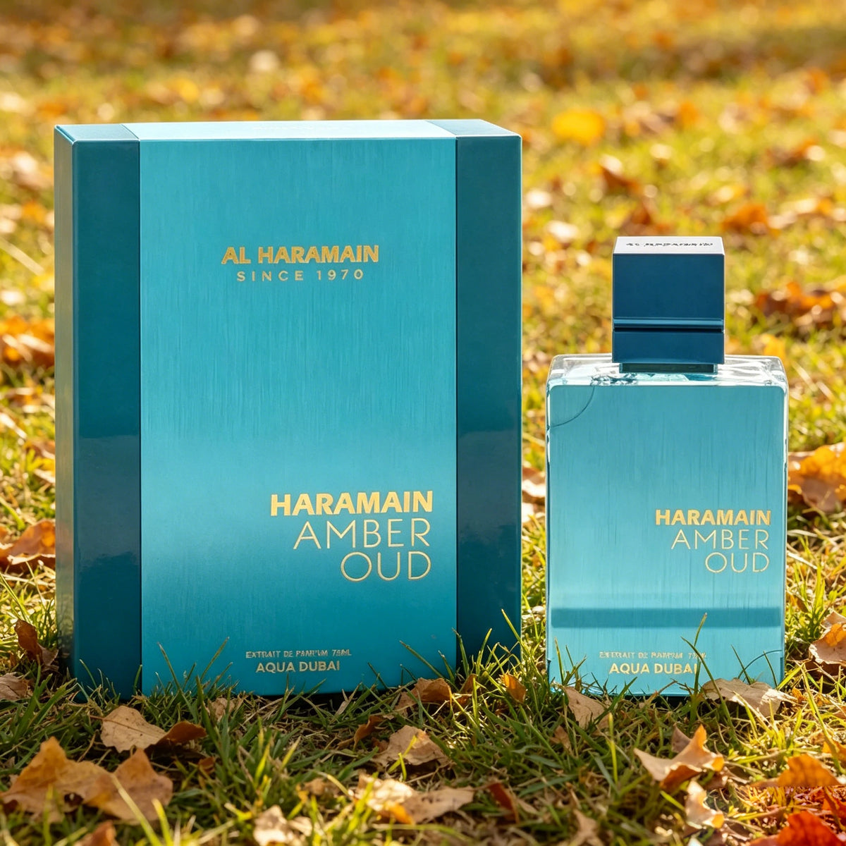 Armaf Amber Oud Aqua Dubai Alcohol Free Oriental Fragrance for Everyone