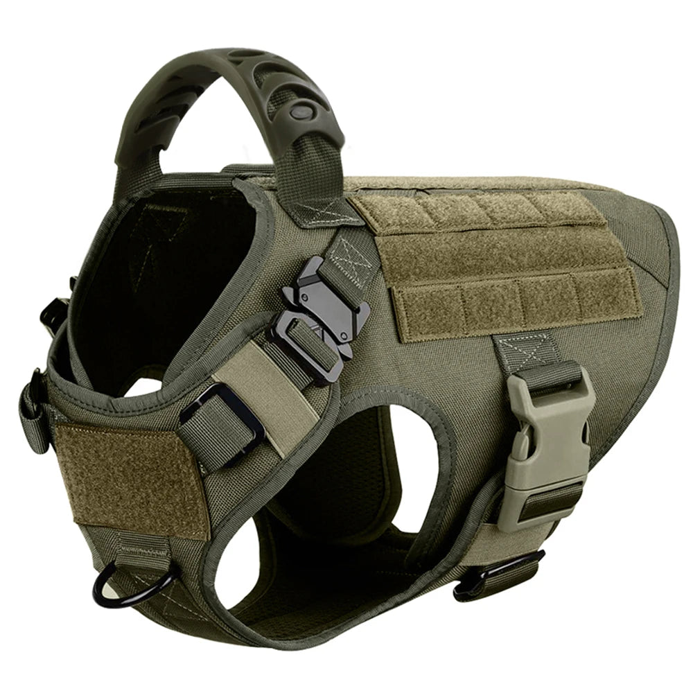 PETRAVEL Padded Dog Harness And Leash Set For Training Walking