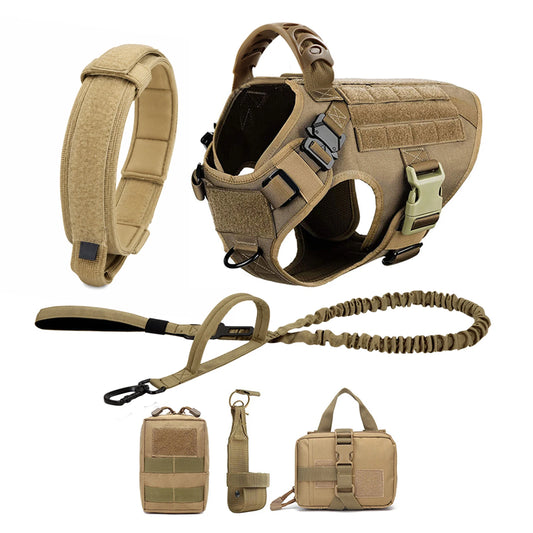 PETRAVEL Padded Dog Harness And Leash Set For Training Walking