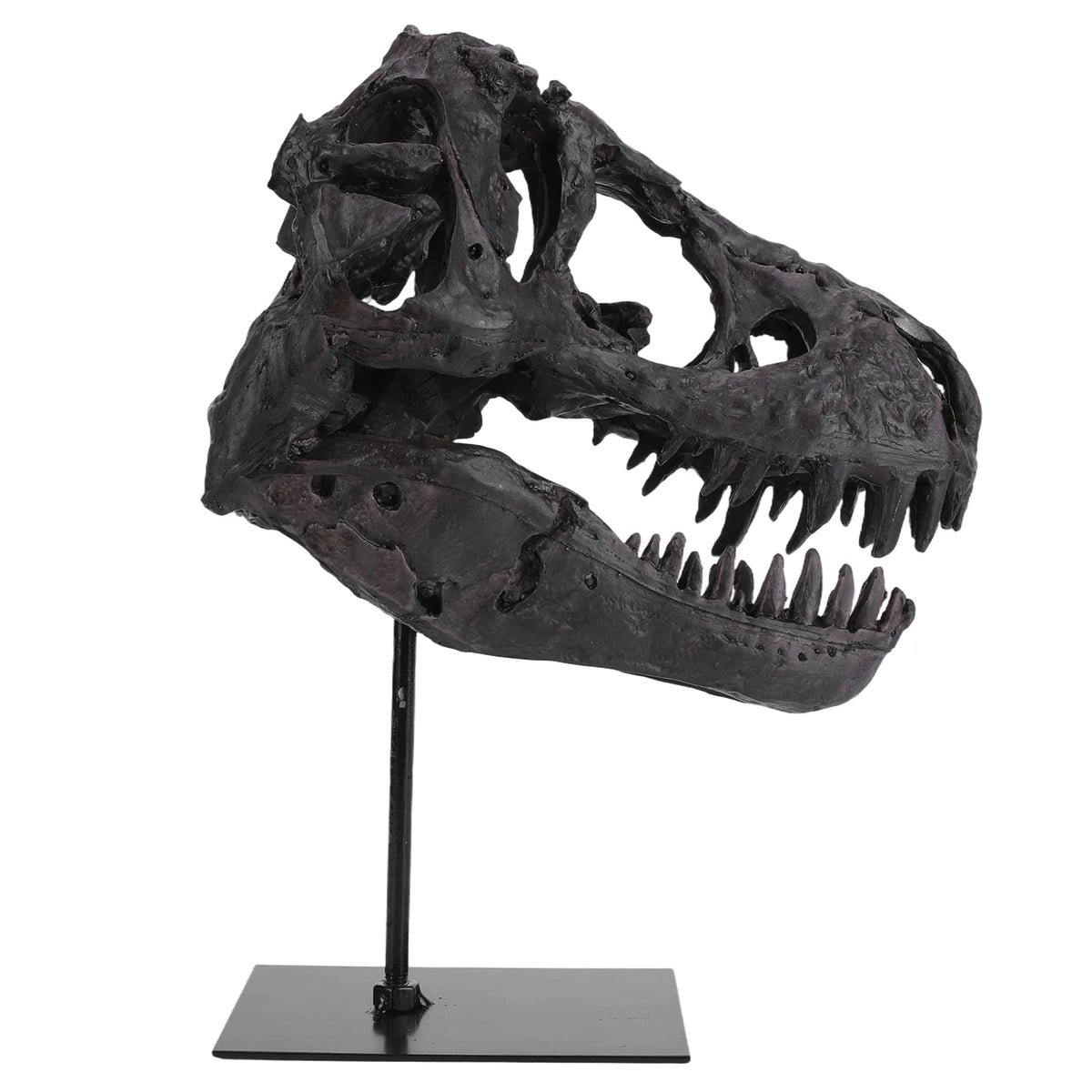 Dinosaur Skull Statue Resin Replica Head Sculptures with Bracket Skull Sculptures Gift for Kids and Adults