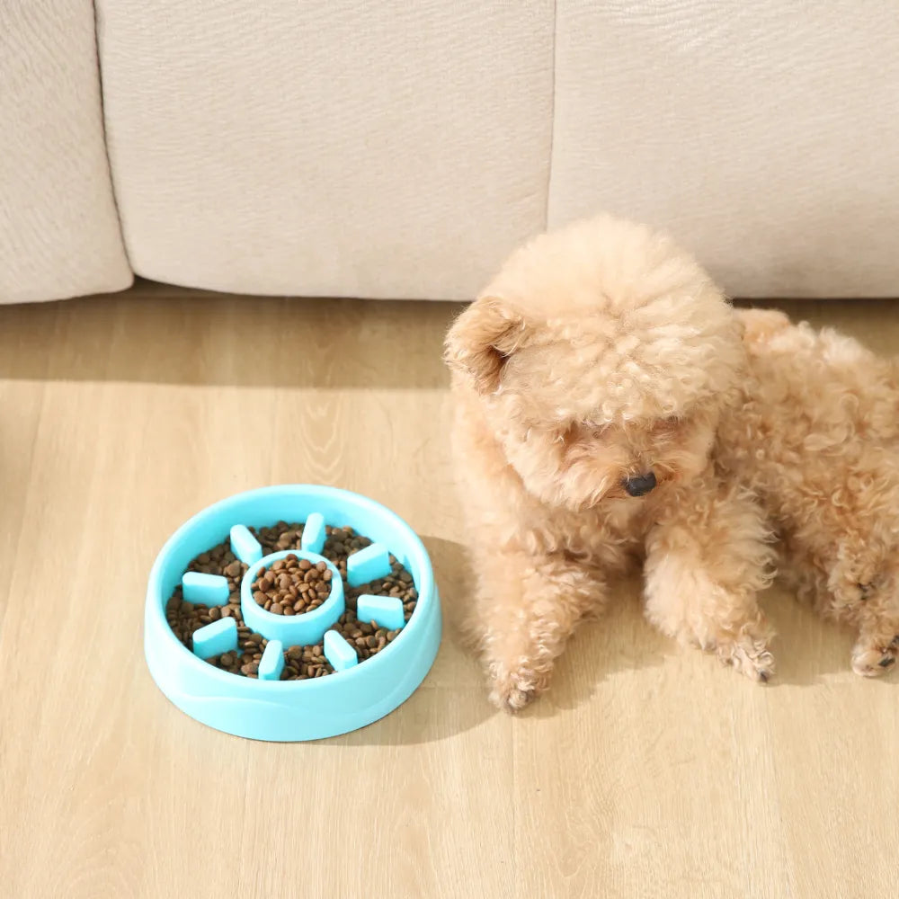 18PCS/Carton Dog Slow Feeder Bowl Anti Slip Pet Feeding Bowl for Healthy Eating 3 Colors Mixed Puppy Cat Food Bowl