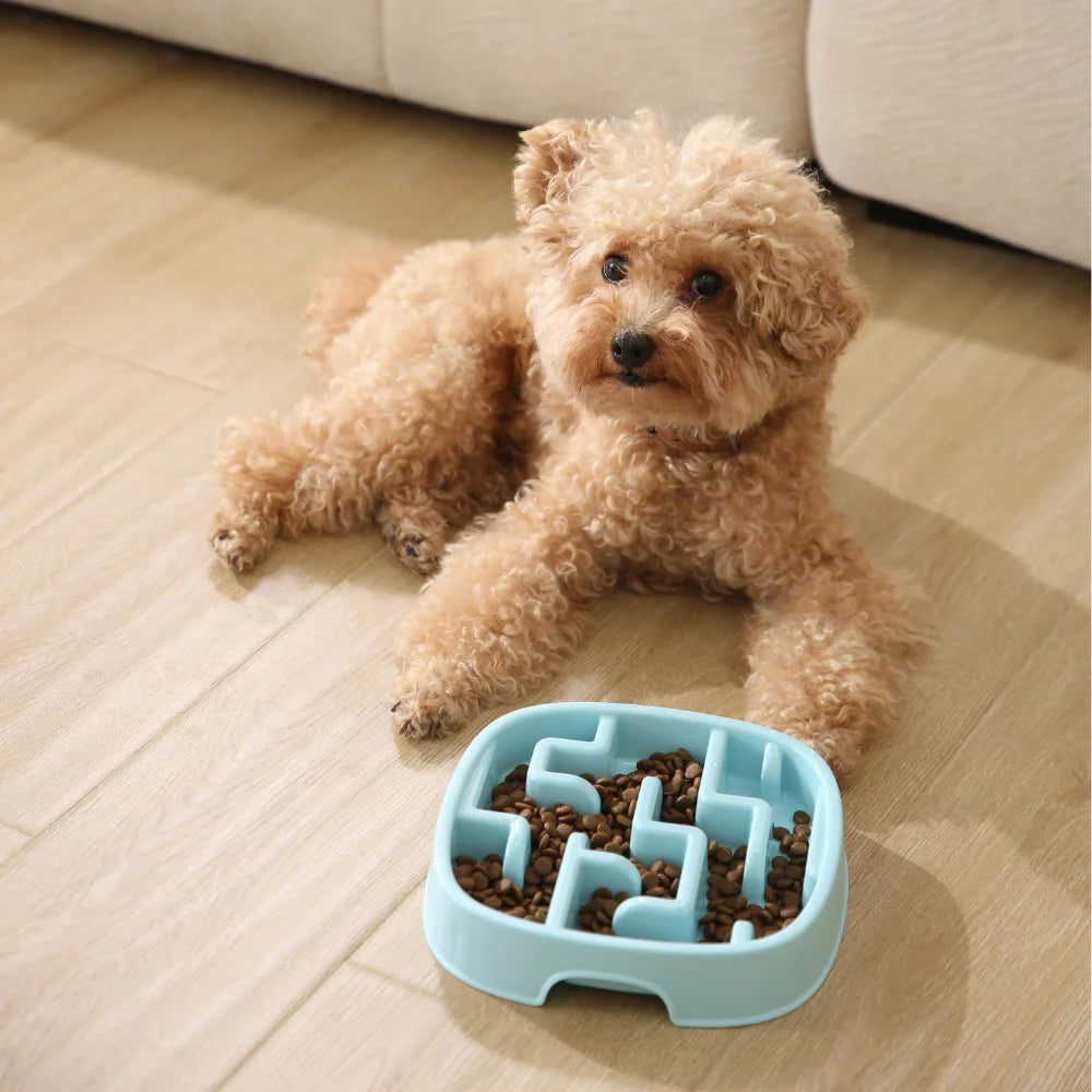 9PCS/Carton Slow Feeder Dog Bowls Maze Puzzle Anti-Gulping Pet Food Bowls Non-Slip Durable Feeding Dish for Dogs 2 Colors Mixed