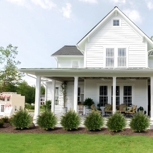 Olitree Artificial Cedar Cypress Topiary Plants For Outdoor Decor